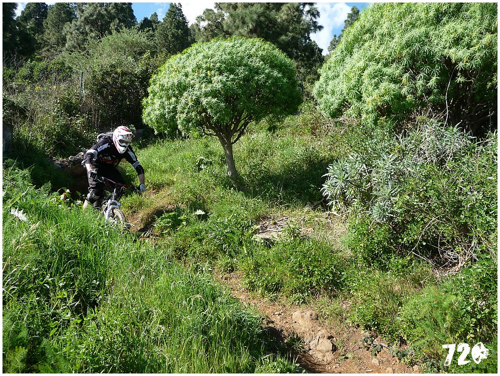 tenerife part one (18).JPG