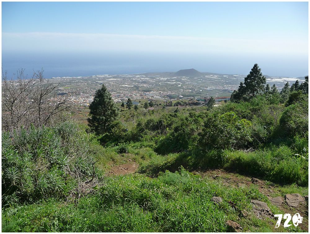 tenerife part one (21).JPG