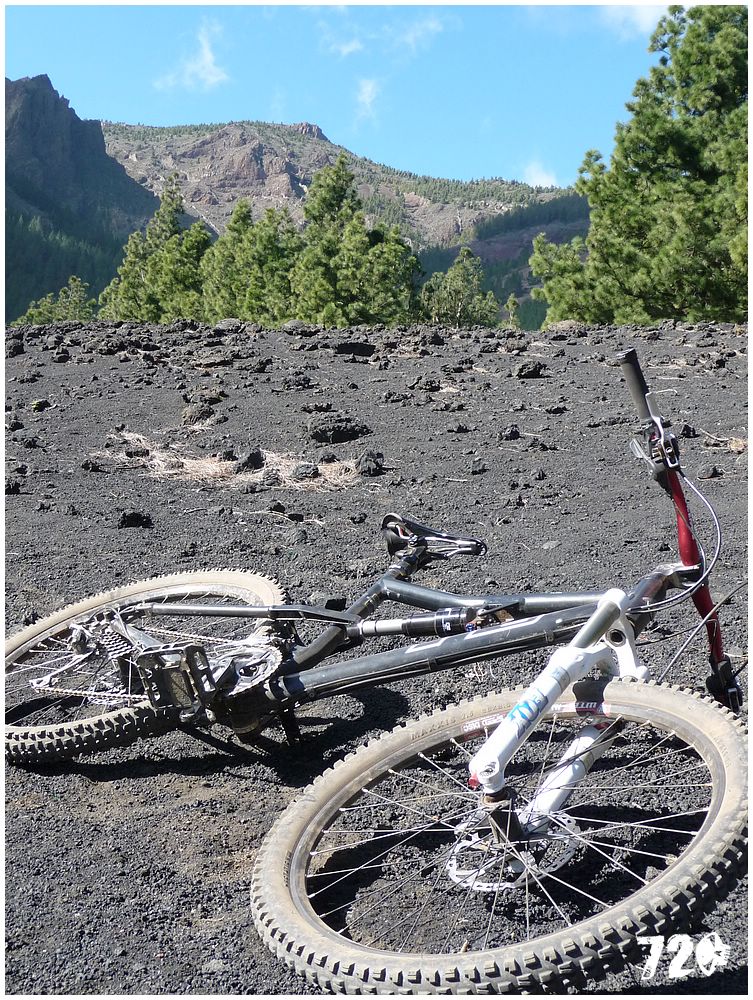 tenerife part one (26).JPG