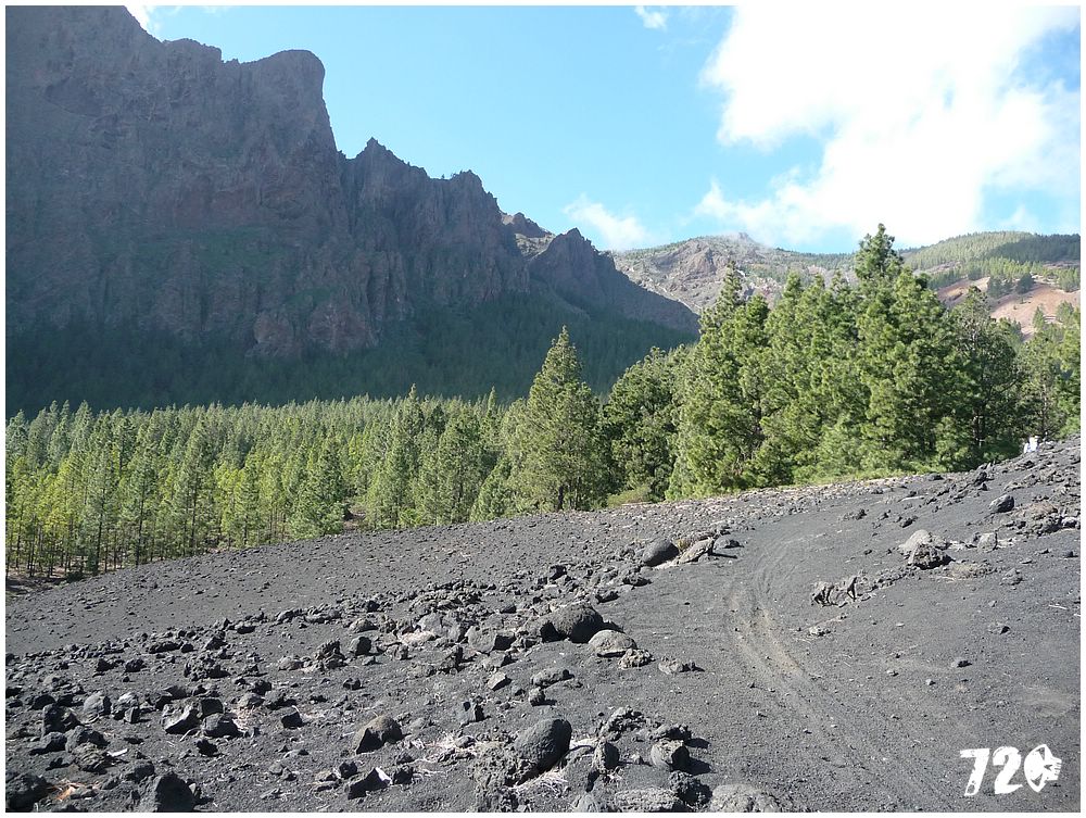 tenerife part one (29).JPG