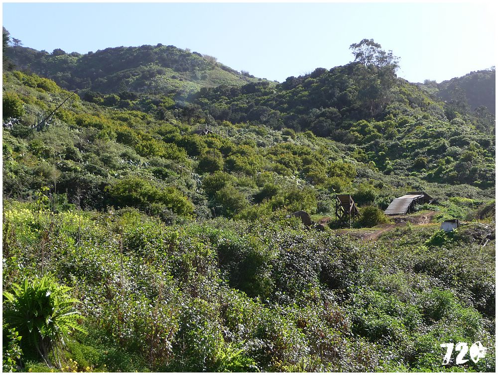 tenerife part one (34).JPG