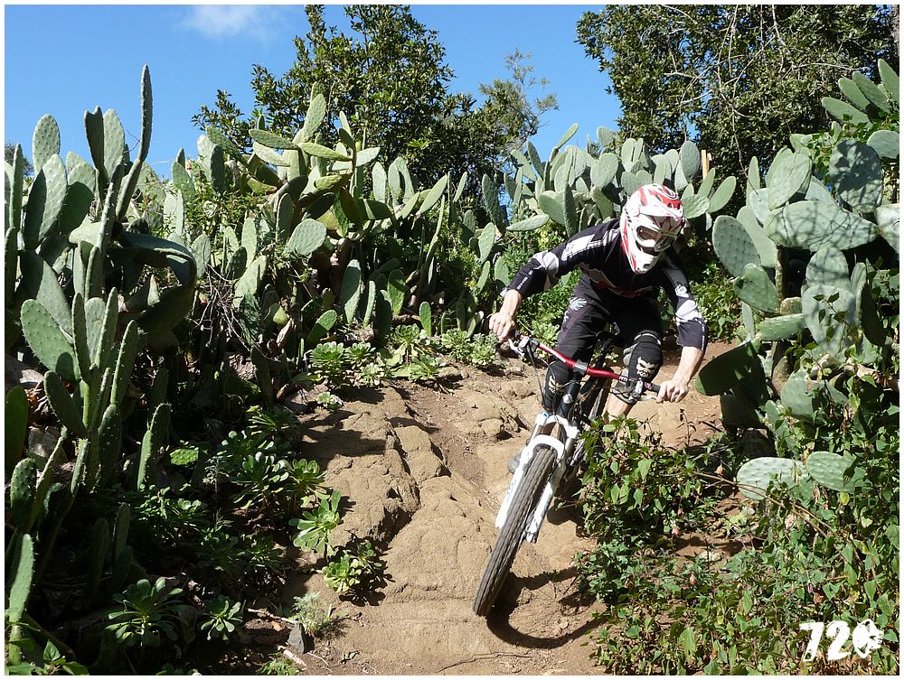 tenerife part one (56).JPG