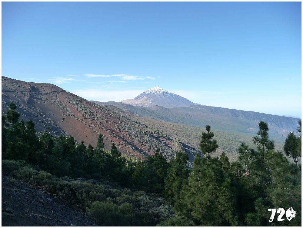 tenerife part one (64).JPG