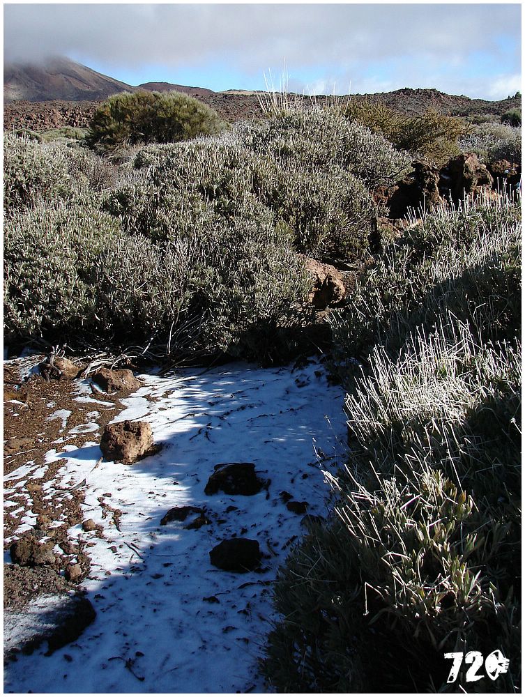 tenerife part tri (16).JPG