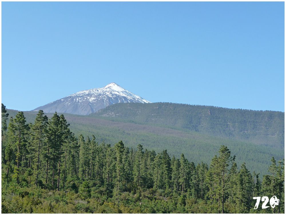 tenerife part tri (28).JPG