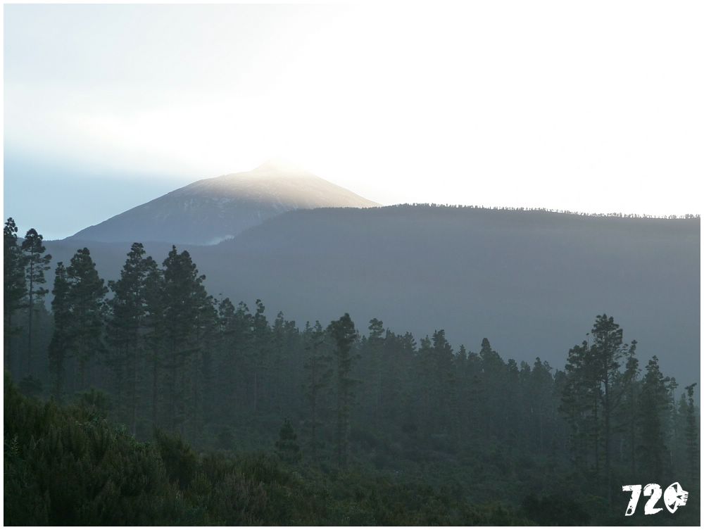 tenerife part tri (44).JPG