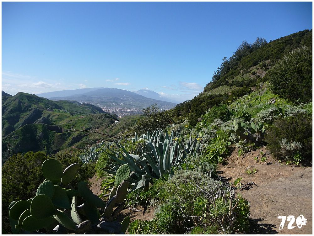 tenerife part tri (54).JPG