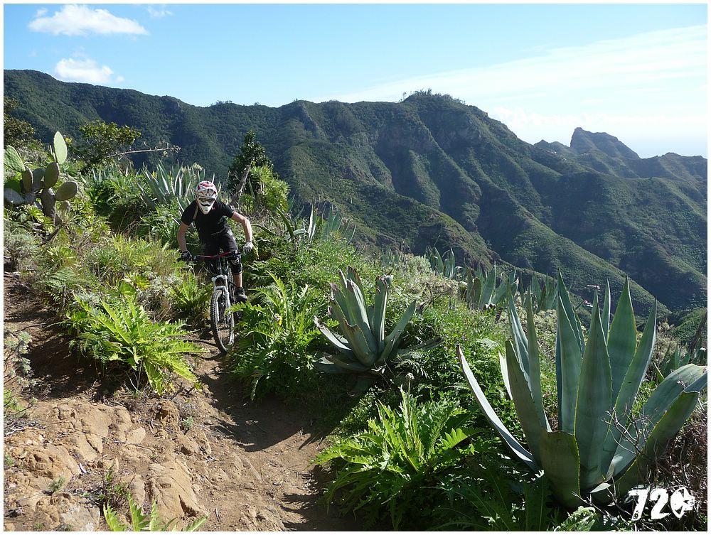 tenerife part tri (62).JPG