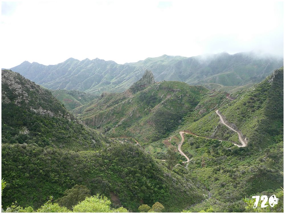 tenerife part tri (65).JPG