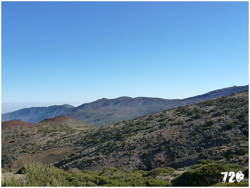 tenerife part two (13).JPG