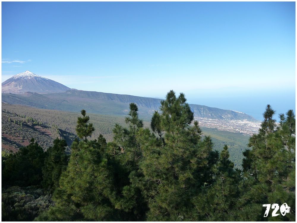 tenerife part two (2).JPG