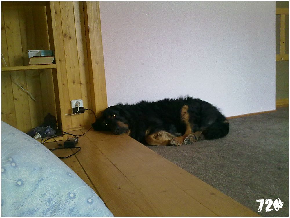 tomaass_jaro010 (13).jpg