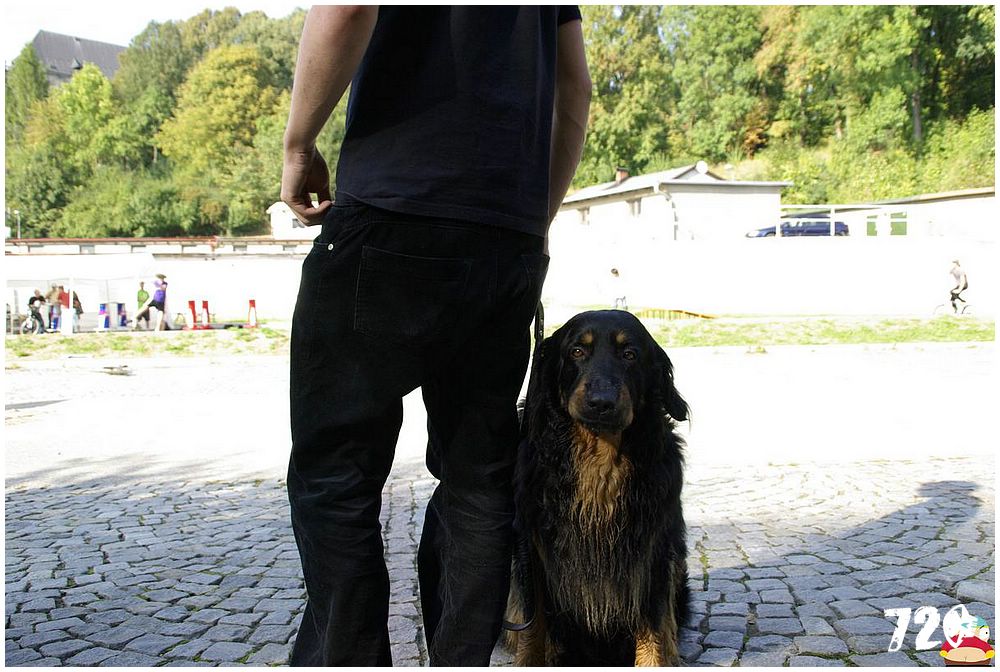 tomaass_rijen09 (37).jpg