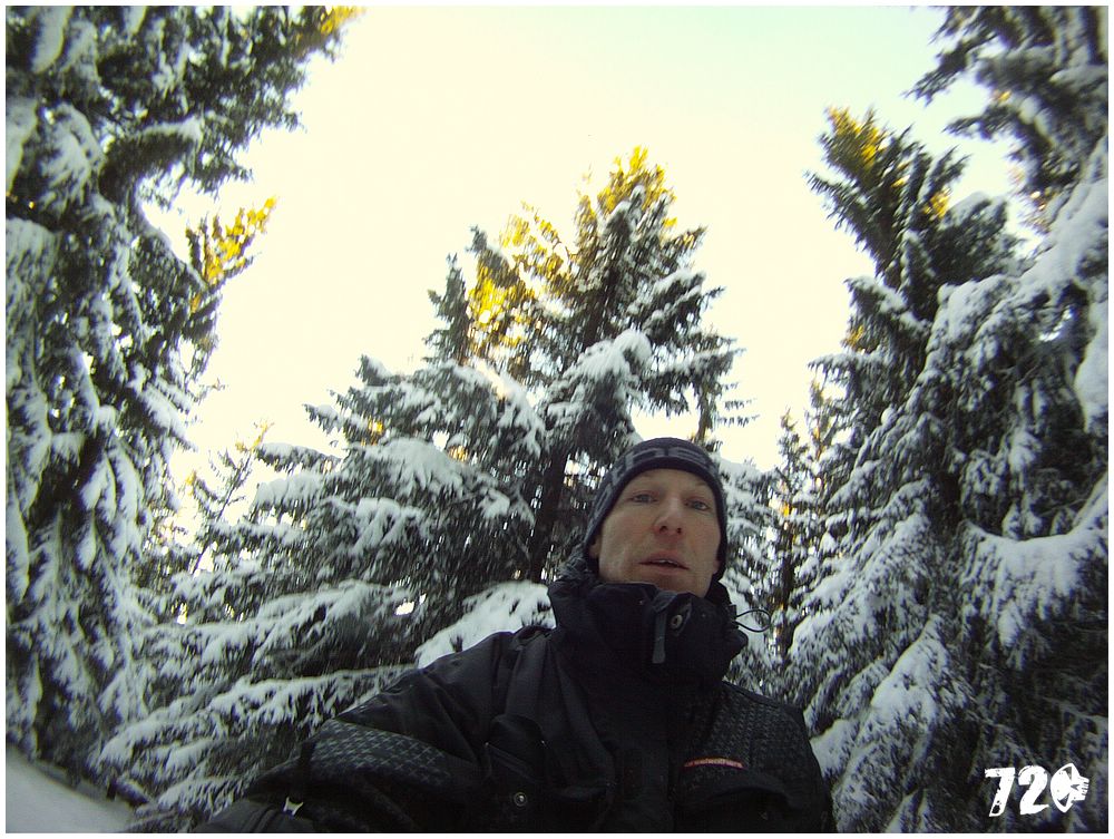 sneznice21011 (10).JPG