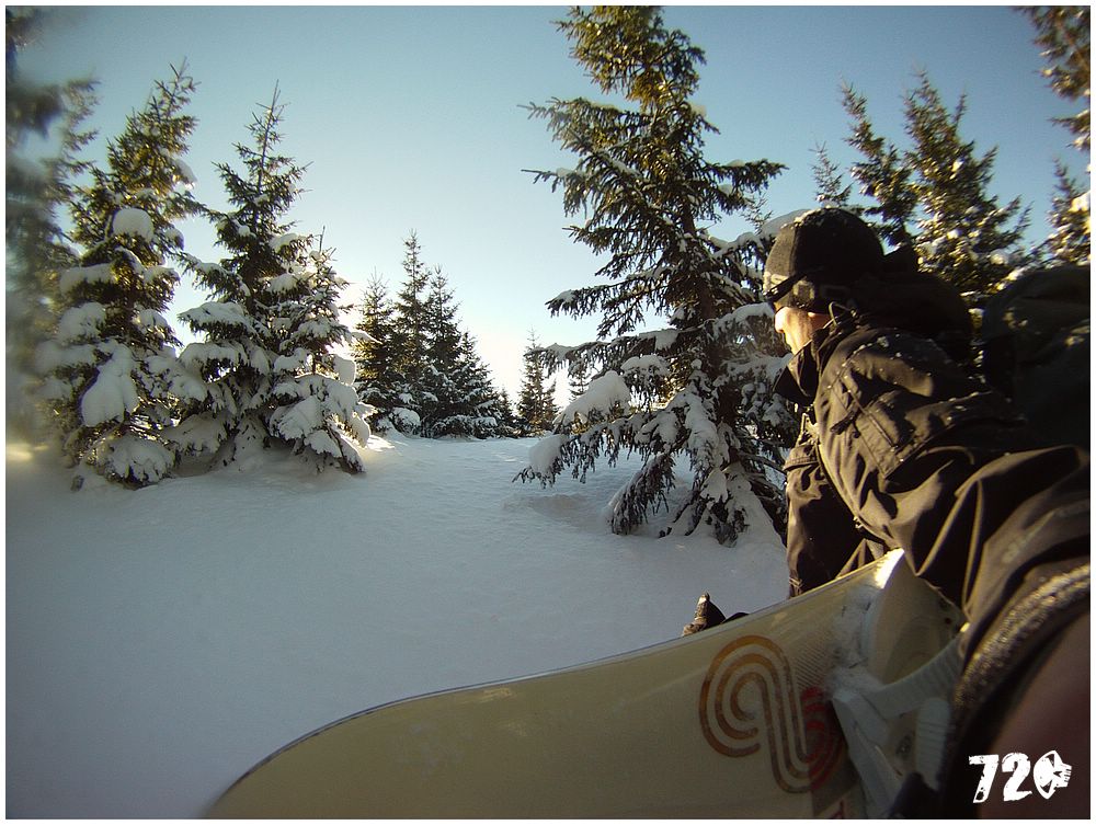 sneznice21011 (12).JPG