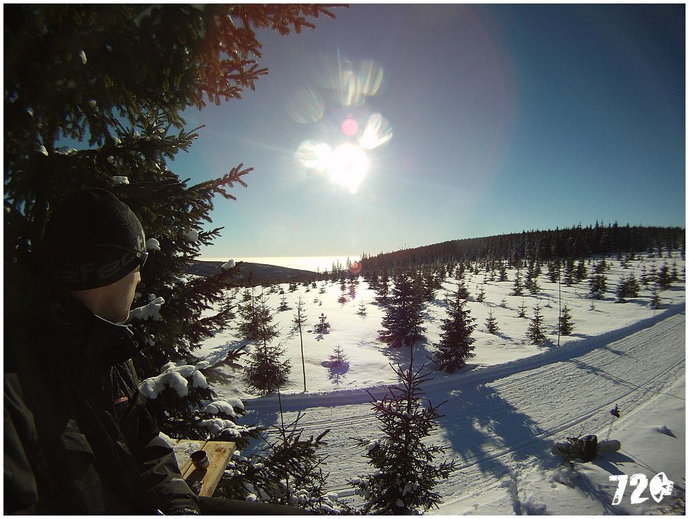 sneznice21011 (13).JPG