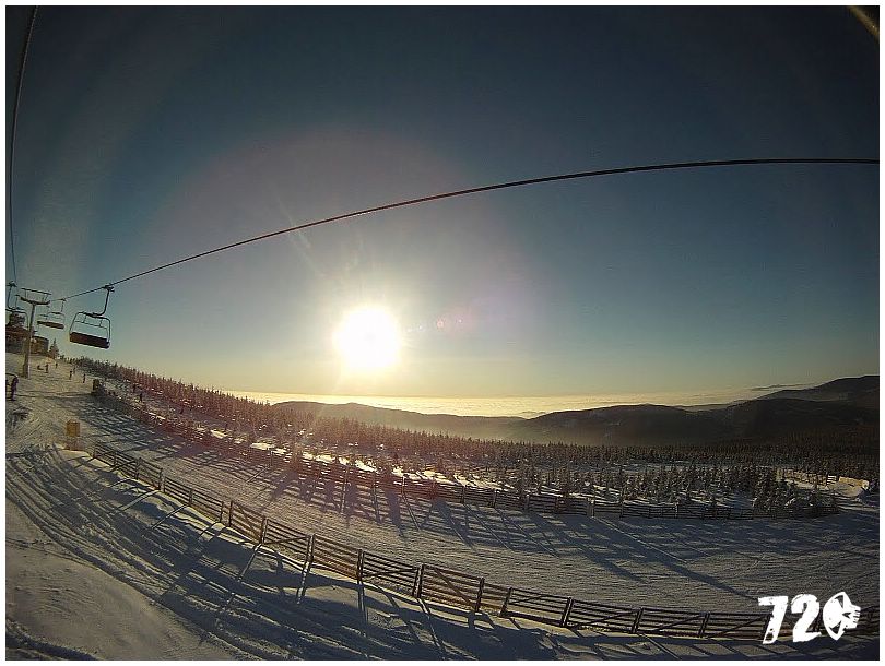 sneznice21011 (2).JPG