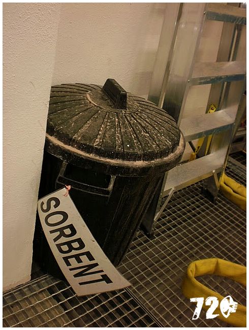 sneznice21011 (26).JPG