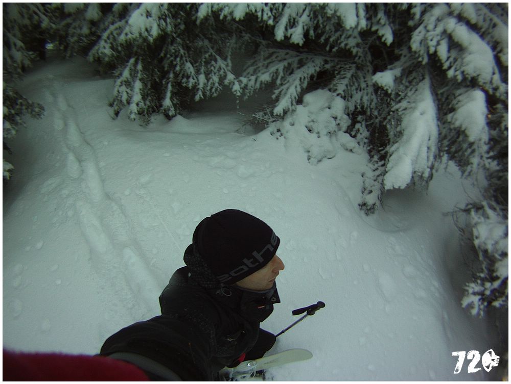 sneznice21011 (9).JPG