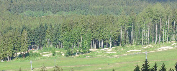 bikepark gaiskopf 3510.jpg