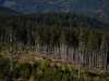 formatfactorydsc_0276