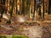 tocna_trails-7